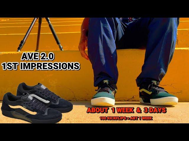 VANS Ave 2 0 First Impressions (100 Kickflips + 3 Days)