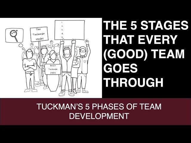 Tuckman's 5 Stages of Team Development (Forming, Storming, Norming, Performing, Re-forming)