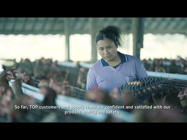VTR Top Feed Mill English Version
