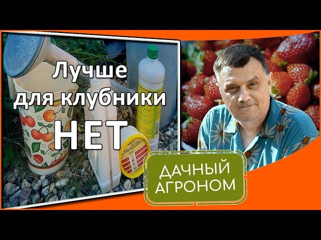 Клубника: С ЭТИМИ средствами вы ЗАБУДЕТЕ о болезнях и вредителях