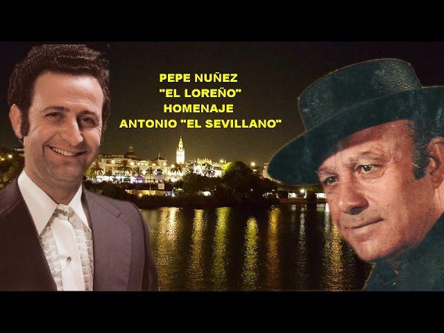 PEPE NUÑEZ -  EL LOREÑO -  HOMENAJE-A ANTONIO"EL SEVILLANO"-RAFAEL HIDALGO ROMERO