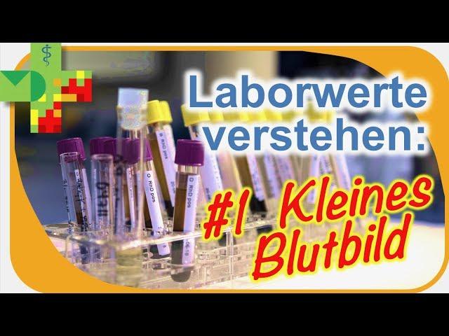 Laborwerte verstehen: #1 Kleines Blutbild