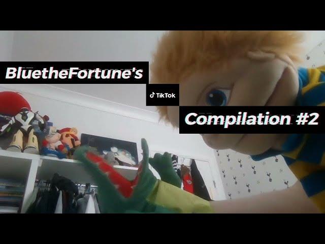 BUSTIN' IN FOR MORE - BluetheFortune's TikTok Compilation #2