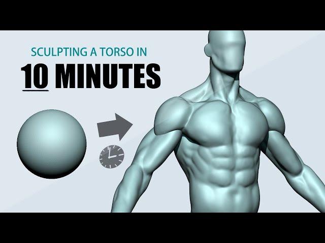 Sculpting a Torso using ZBrush in 10 minutes