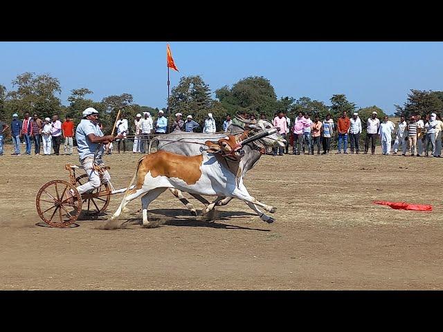 बैलगाडीदौड नीमगांव। प्रथम राउंड के सभी विङियो।oxrace। neemgaon race।bailagda shryat neemgaon।