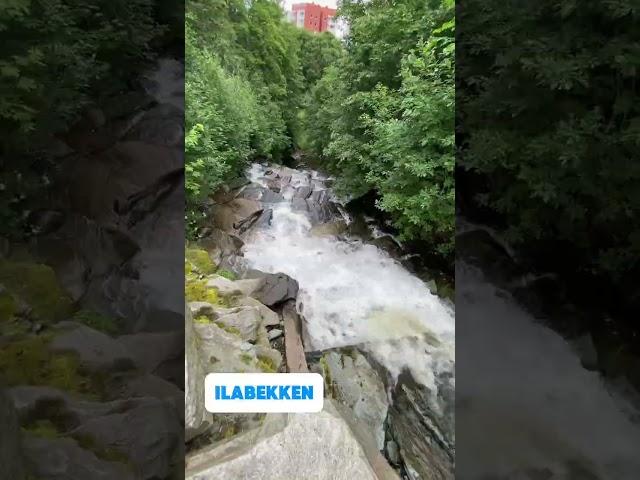 Football Coach in Norway: Rest Day ️ #football #soccer