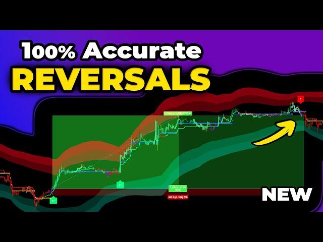 NEW LuxAlgo Strategy Predicts 100% ACCURATE Reversals ( 100x Tested )