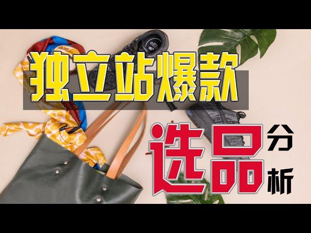 【独立站运营0-1】第二节：独立站选品思路，Shopify选品策略经验分享，如何发现爆款产品......