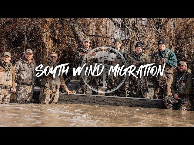 Duck Hunting- Sunshine and South Winds (BIG MIGRATION)