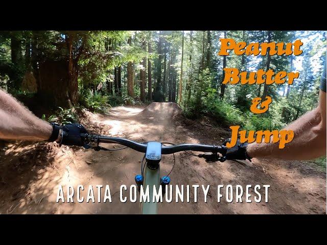 Peanut Butter & Jump Trails in Arcata Community Forest