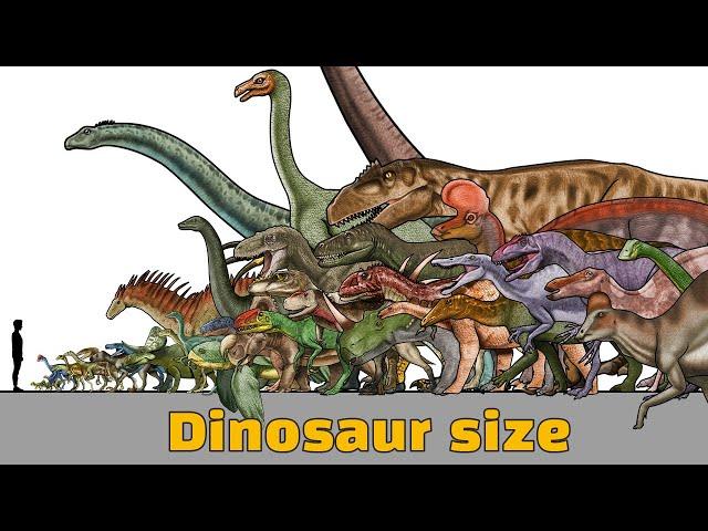 Moving Dinosaur Size Comparison 2D | Animated Size Comparison | dinosaur name study