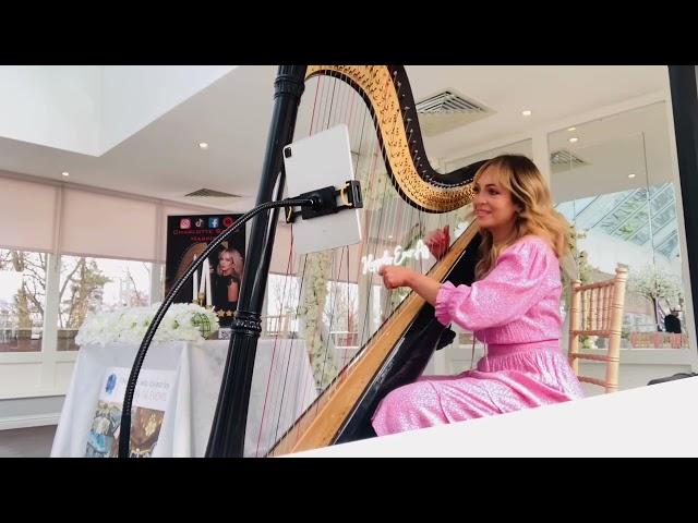 Always Remember Us This Way- Lady Gaga- Harp cover