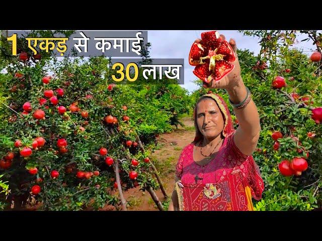 साधारण सी दिखने वाली ये महिला एक एकड़ से कमाती हैं 30 लाख | Pomegranate Farming anar ki kheti