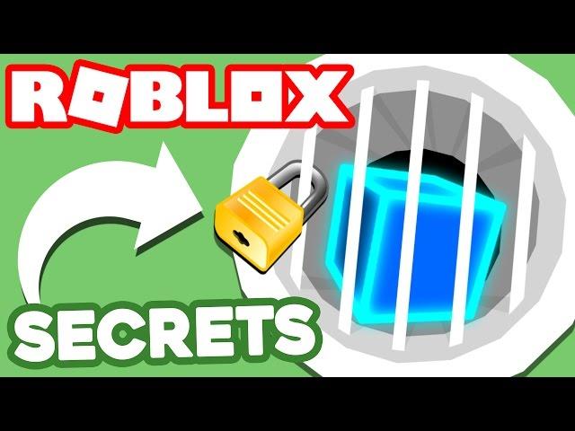 6 ROBLOX SECRETS
