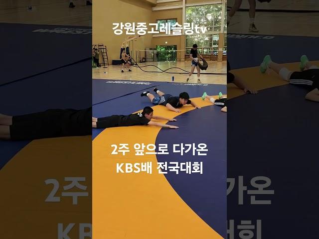 레슬링 화이팅! #레슬링 #강원중고레슬링부 #춘천레슬링 #화이팅 #금메달 #강원중학교