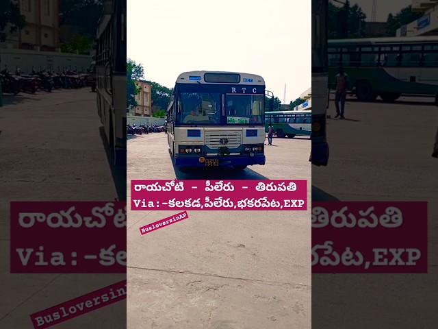 Rayachoty - Pileru - Tirupati Express Bus Rayachoty Depot  #shorts