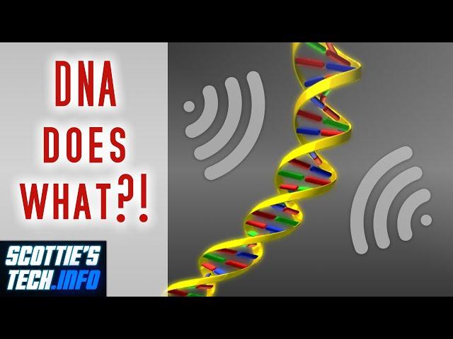 Is your DNA an EMF antenna?