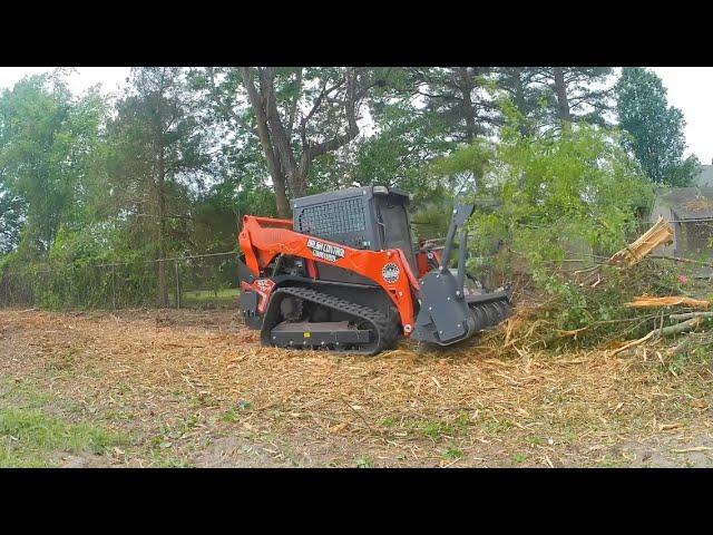 Forestry Mulching BIG trees with the Kubota SVL 75-3