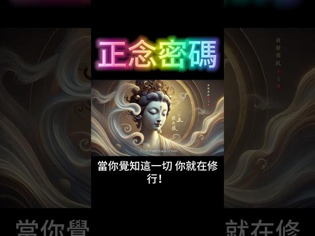 正念密碼：如何在紅塵中覺醒？原來這就是修行的高境界！ #開悟 #覺醒