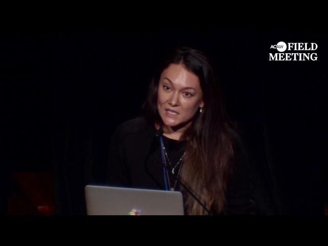 FIELD MEETING Take 4: Thinking Practice - Stephanie Bailey (ACAW 2016)