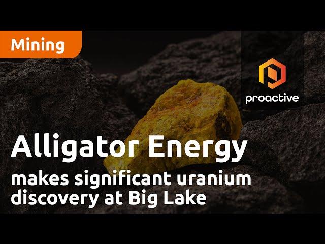 Alligator Energy makes significant uranium discovery at Big Lake