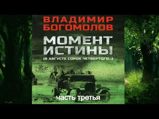 Владимир Богомолов.Момент истины.