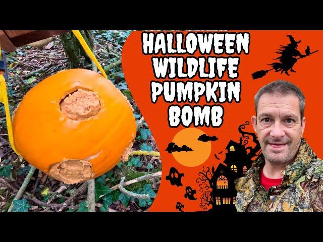 Making A Halloween Pumpkin Bomb & Wildville Party Aftermath