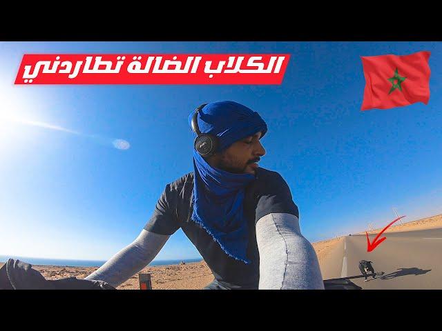 #VLOG100 |رحلة أفريقيا: كم هائل من الكلاب الضالة تطاردني وسط الصحراء المغربية 