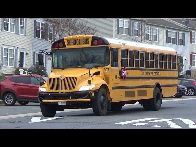 Top 10 School Buses