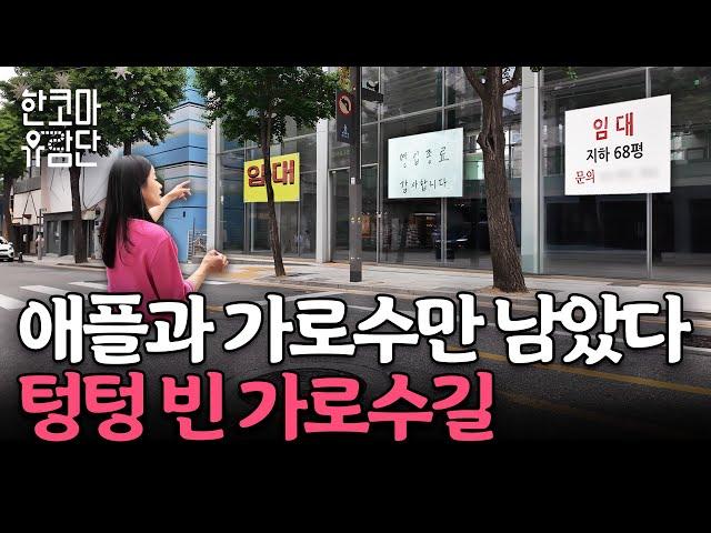 공실폭탄 가로수길, 의료관광 도산대로｜한코마 유람단