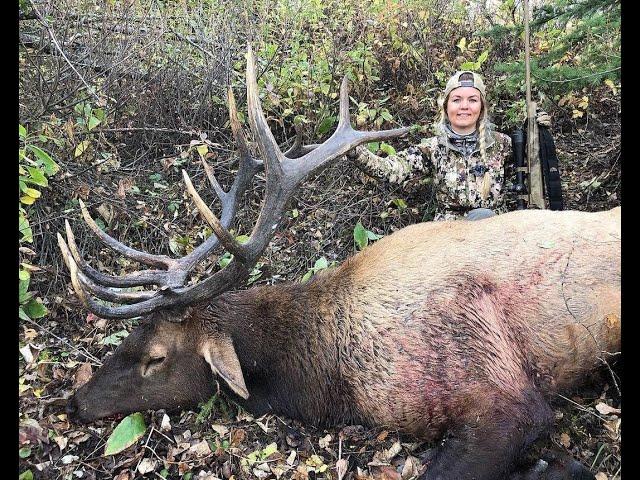 8 Year Journey for her VERY FIRST BULL ELK - Heavy 6X6