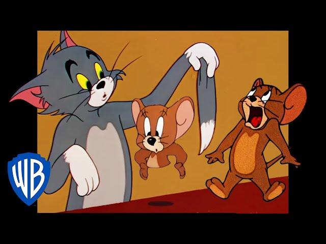 Tom & Jerry | The Original Jokesters | Classic Cartoon Compilation | WB Kids