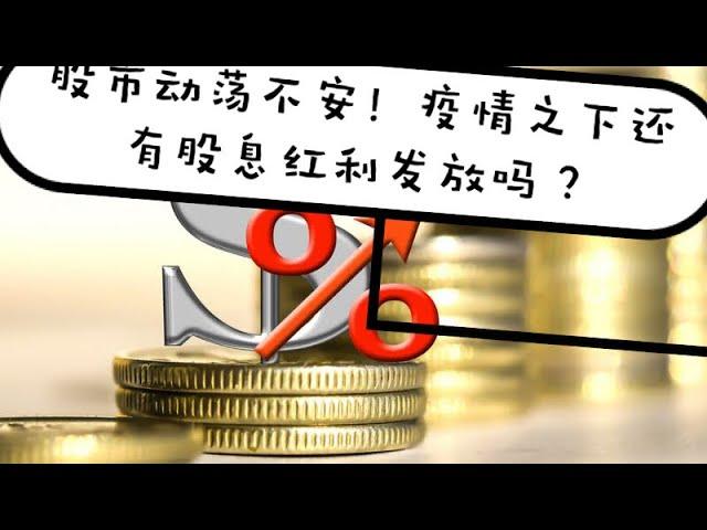 动荡不安的股市中，还有稳定的高股息公司吗？