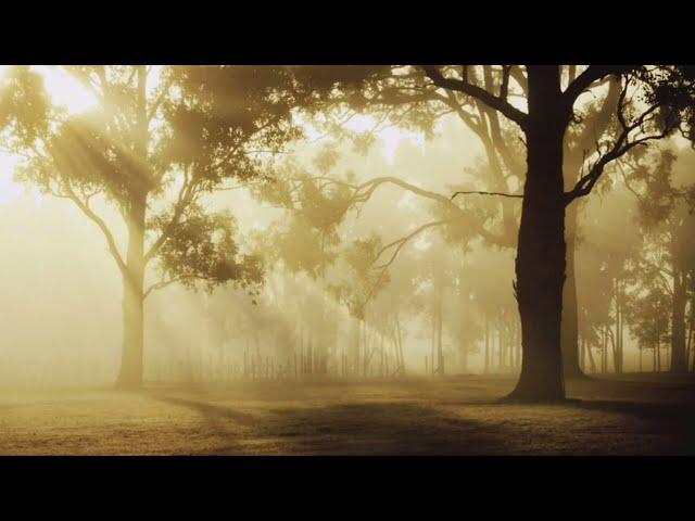 Relaxing meditation music 