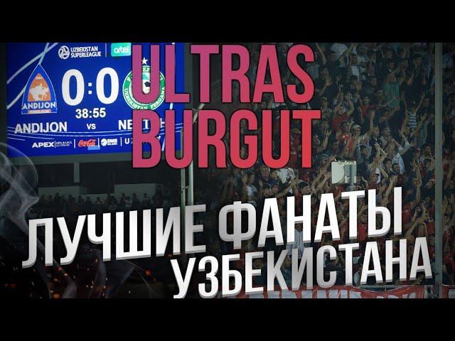 "ULTRAS BURGUT" - лучшие фанаты Узбекистана/Абинұр Нұрымбет