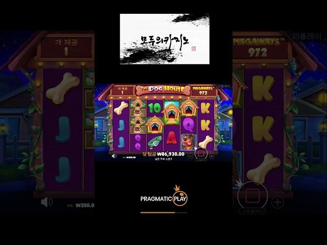 [슬롯][슬롯머신][slot]도그하우스_THE DOG HOUSE소액_ 702배??[프라그마틱]