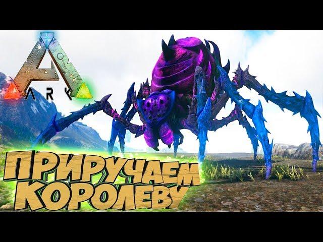 Приручаем КОРОЛЕВУ ПАУКОВ - ARK Survival Evolved Аннунаки на Ragnarok #40