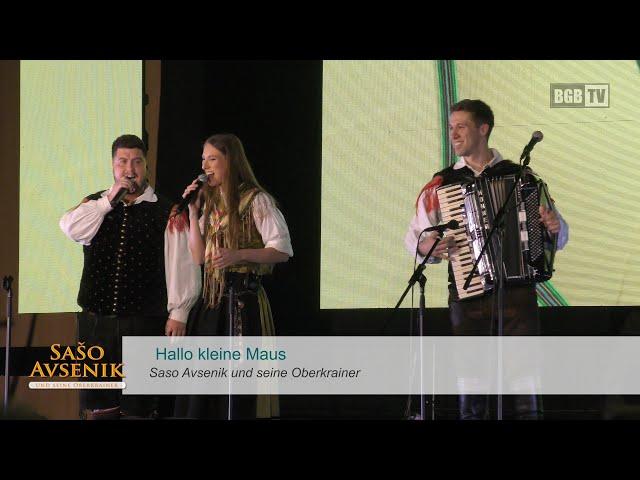 Hallo kleine Maus - Saso Avsenik und seine Oberkrainer LIVE