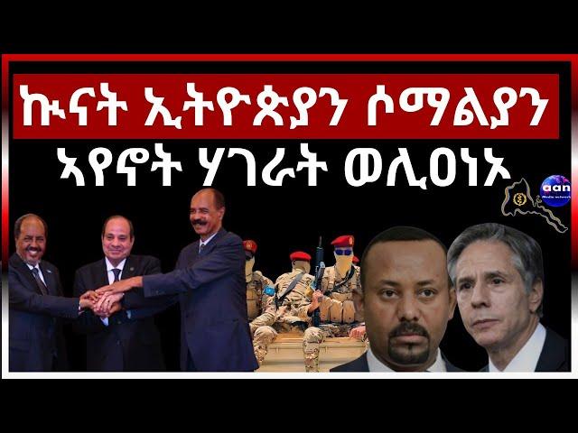 ኲናት ኢትዮጵያን ሶማልያን ኣየኖት ሃገራት ወሊዐነኦ