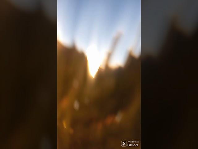 EPIC FAIL Fell in Deep Water Picking Up Litter