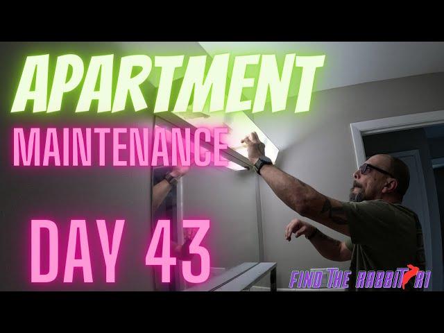 Day 43 as apartment maintenance