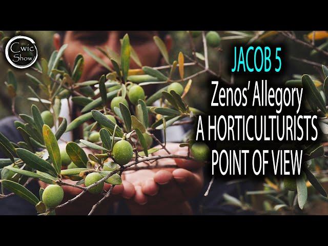 Jacob 5 Zenos' Allegory of The Olive Trees - Horticulturists Perspective