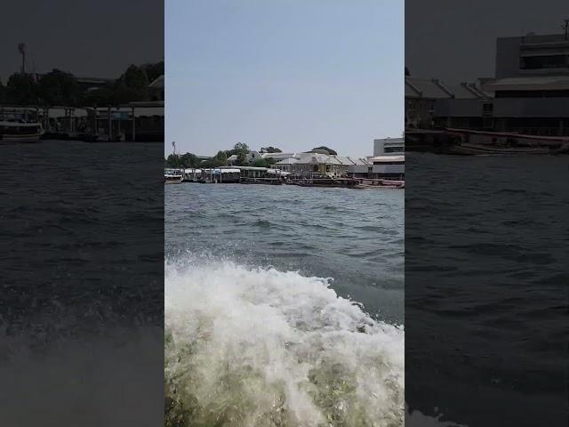 [엉딩팡팡]방콕 짜오프라야강 보트 투어!️ | Bangkok Chao Phraya River Boat Tour!️ #Bangkok #RiverCruise #Shorts