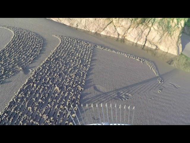 "Sands Serif" beach writing