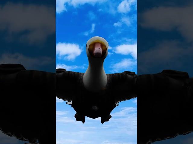 Bro why am I making these shorts #gorilla #duck #funny #memearchive #redditrecap #whatssofunny #fyp