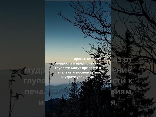 Почему мудрость является ключом к успеху? #Саморазвитие #ЛичностныйРост #Притчи #моральнаядилемма