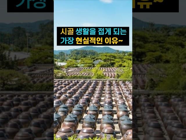 이 정도만 알고 하셔도 시골 생활이 즐거워 집니다~#시골생활 #전원생활 #시골땅 #귀농 # 귀촌 #부동산정보