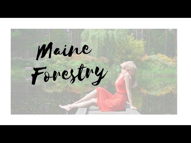 Forestry - Maine Forestry