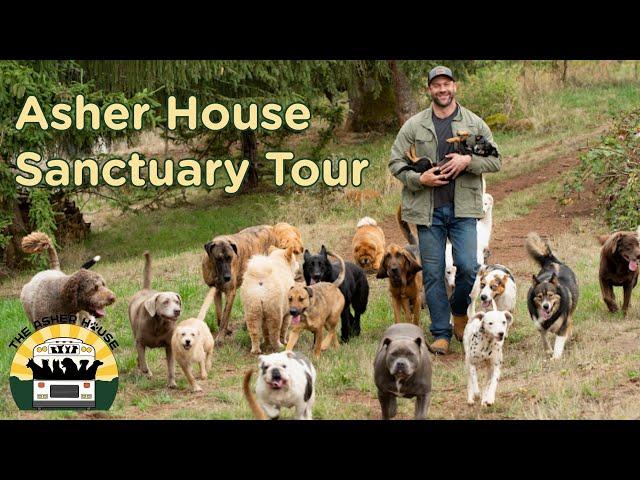 Full Asher House Tour! A behind the scenes look at the sanctuary | The Asher House