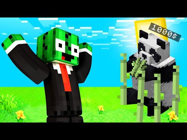 1000$ MİLYONER HIRSIZ PANDA VS KAKTÜS ADAM!  - Minecraft
